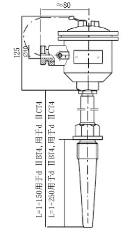 M33×2錐形保護管隔爆型熱電阻型號規(guī)格